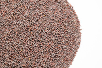 Immerse yourself in the intricate texture of these mustard seeds, captured in a detailed close-up. 