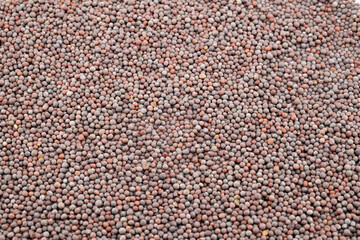 Immerse yourself in the intricate texture of these mustard seeds, captured in a detailed close-up. 