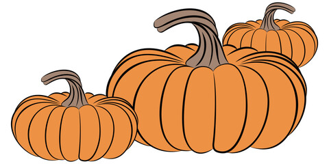 Pumpkin Trio Illustration – Autumn Harvest and Thanksgiving Theme
