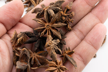 Experience the aromatic allure of star anise with this image showcasing the spice held gently in an open hand. 