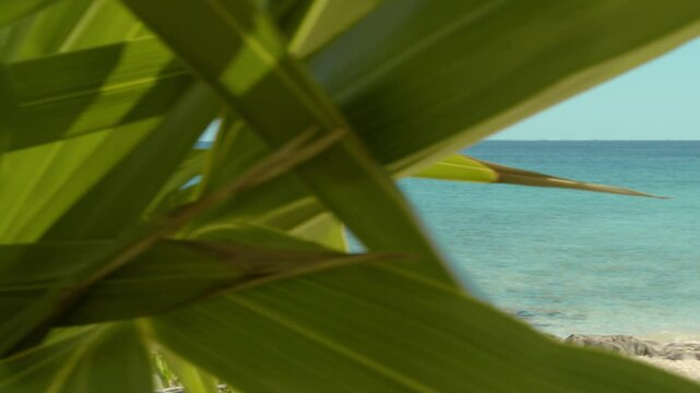Tropical caribbean beach with turquoise water and white sand recorded in 6k paradise looking beach. Turquoise water beach was filmed in Mexico. Caribbean vacational resort with crystal clear water