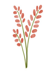 Watercolor painting of wildflowers on transparent background. PNG
