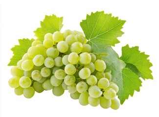 Fresh green grapes with leaves (2)