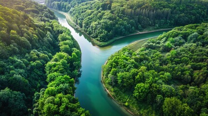 Breathtaking Aerial View: River and Lush Green Forest in Tuchola Natural Park