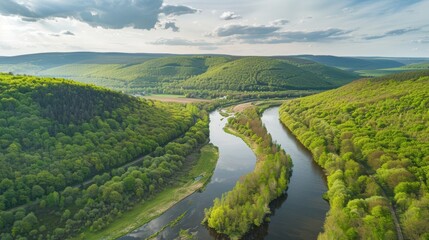 Obraz premium Breathtaking Aerial View: River and Lush Green Forest in Tuchola Natural Park