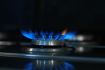 Gas burner with blue flame on stove, closeup