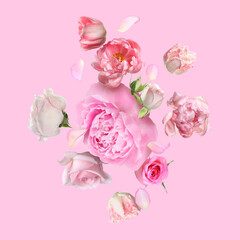 Beautiful fresh flowers falling on pink background