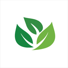 natural green leaves vector on white background