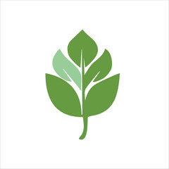 green leaves vector design for icon or logo design
