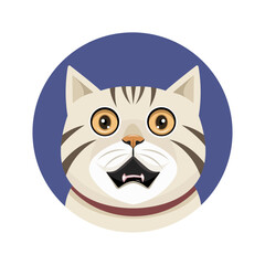 Cat head, Cute cats faces. Cat heads emoticons, kitten face expressions. pet appreciation concept