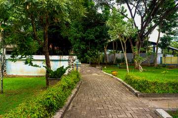 City park path urban wild plant bushes during the day. 