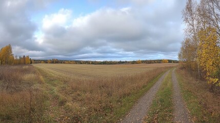 Fototapeta premium Autumn Landscape with Path View