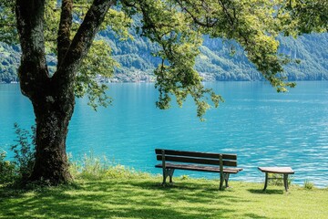 Obraz premium bench in the park