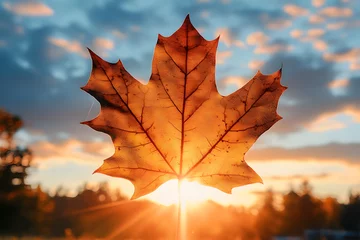 Fleecedeken met foto Autumn Leaf Silhouettes Sunset Sky © enter