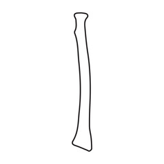 radius bone posterior line icon