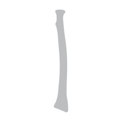 radius bone posterior icon