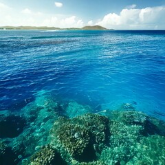 Fototapeta premium coral reef and sea