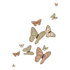 Aesthetic butterfly png border, watercolor collage element, transparent background © Rawpixel.com