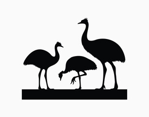 Obraz premium Emu Silhouette Collection EPS Vector Template on a White Background
