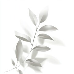 Obraz premium Realistic Blurred Leaf Shadow Effect on White Background, Ideal for Nature Design and Product Presentation