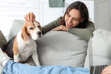 Young couple with cute Beagle dog at home