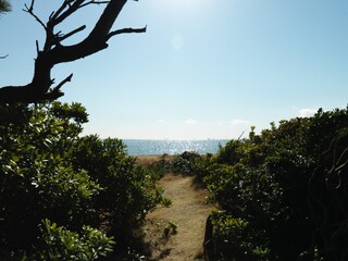 道の先に見つけた海