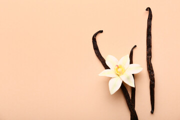 Beautiful vanilla flower and sticks on beige background