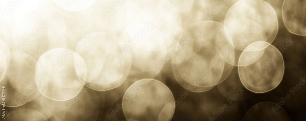 Poster a blurry image of circles with a light background. the circles are of varying sizes and appear to be
