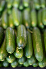 cucumbers in the market