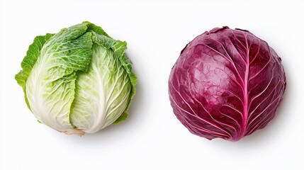 Fototapeta premium Green and Red Cabbage Variety