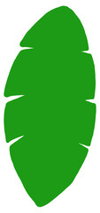 leaf illustration