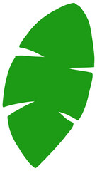 leaf illustration