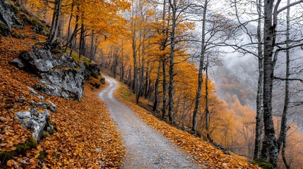 Fototapeta premium Scenic autumn pathway through vibrant orange foliage in tranquil forest landscape