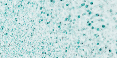 Hand painter colors watercolor stain texture abstract color pink texture background on white surface. Grunge and textured banner with free copy space. Modern Red Pink Watercolor.	
