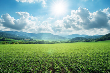 Arafed doorway to a building with steps leading up to it