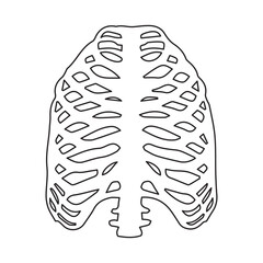 rib bone line icon