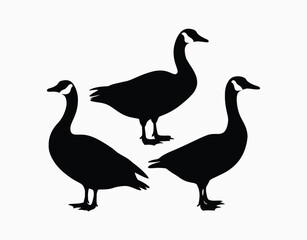 Fototapeta premium Goose Silhouette Vector Template Collection
