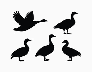 Simple Goose Silhouette Isolated Template