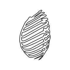 Ribcage lateral line icon