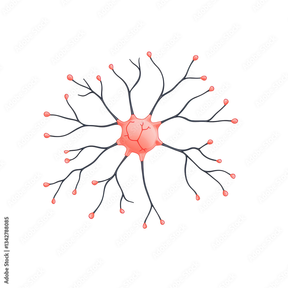 Poster a pink neuron with multiple branching axons and synaptic terminals emanating from its cell body.