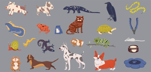 Pets set, collectuion, cute adorable animals, dogs, cat, reptiles, amphibians, ravens, rodents, pet products,  hand drawn vector illustration.