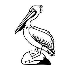 Pelican Silhouette Perched on Rock