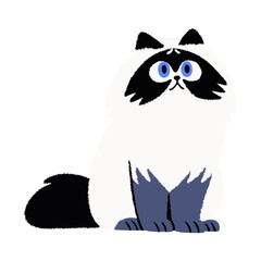Cartoon Cat