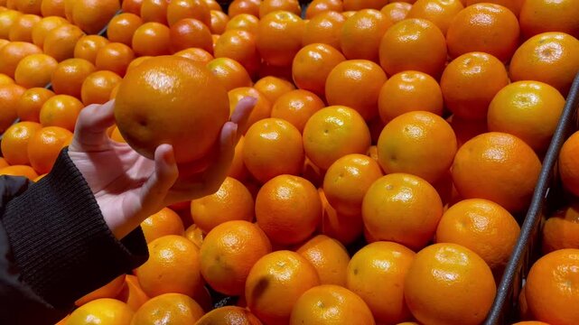 Close up hand choosing oranges fruits in grocery store