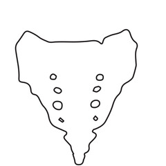 sacrum bone line icon