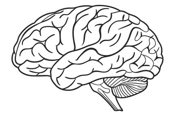 Mind in Motion Colorful Brain Silhouette Art,A bold and striking vector-style silhouette of a human brain