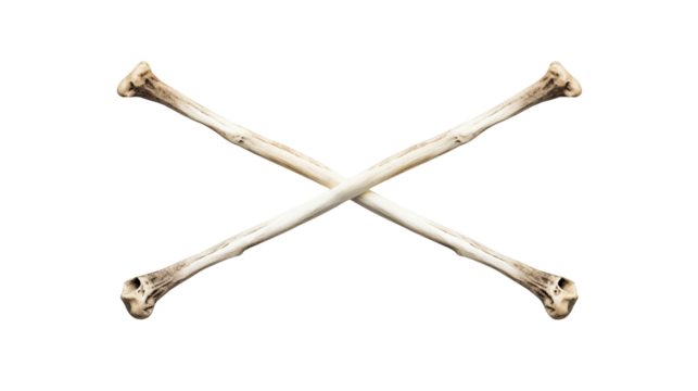 Crossbones Image Pirate Symbol Halloween Decor Danger Sign