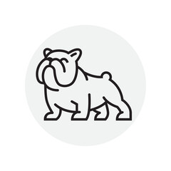 America Bulldog logo vector design template in isolated grey background