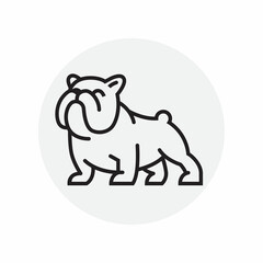 America Bulldog logo vector design template in isolated grey background