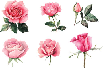 Fototapeta premium bouquet of pink roses